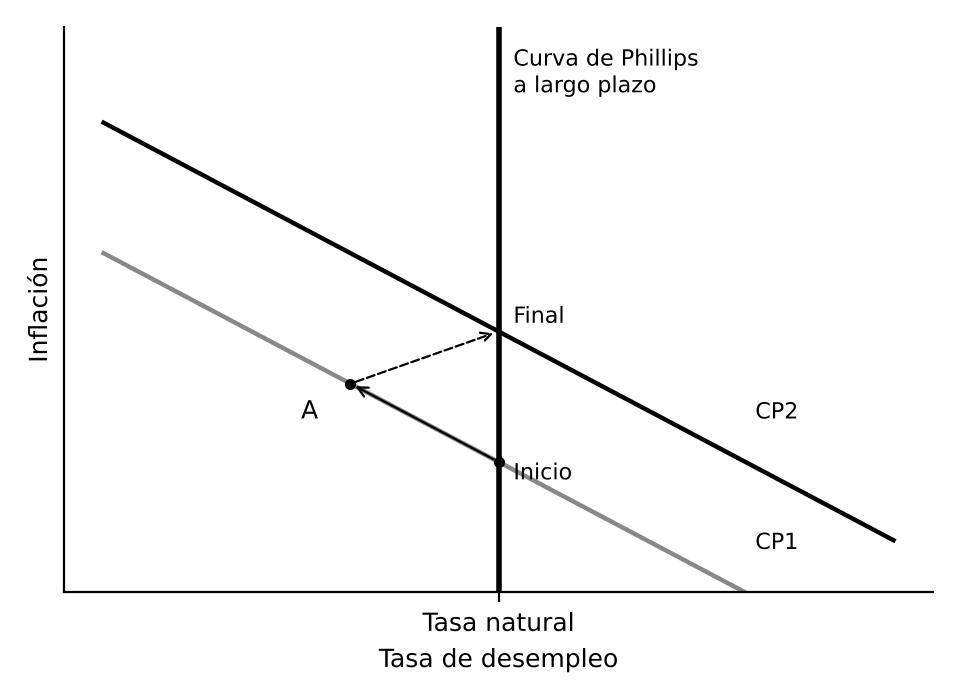Curva de Phillips a corto plazo (CP1 y CP2) y a largo plazo, con el paso del punto inicial al punto A y al punto final. Elaboración propia.